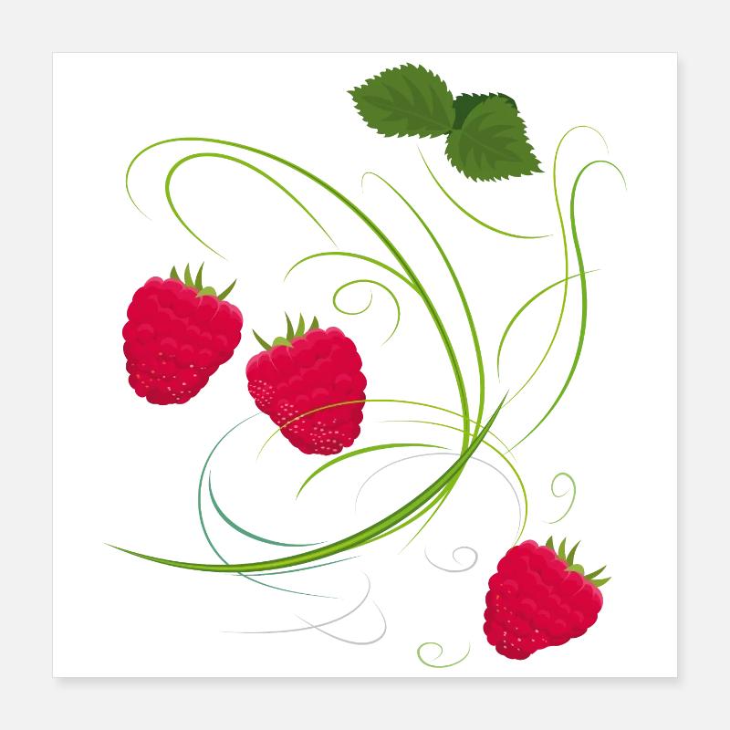 Himbeere, Obst Poster 40x40 cm