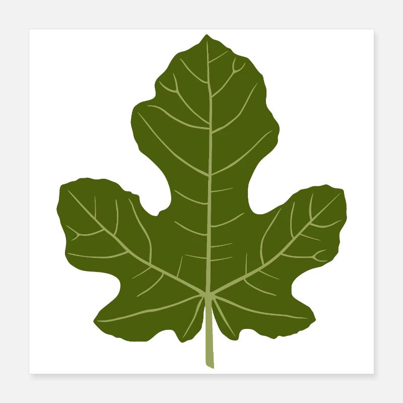 Figuier Vert Feuille Nature Design Poster 40 x 40 cm