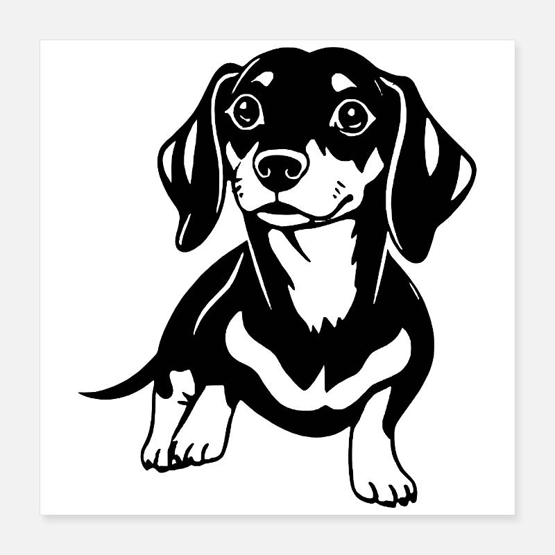 Dachshund Poster 40x40 cm
