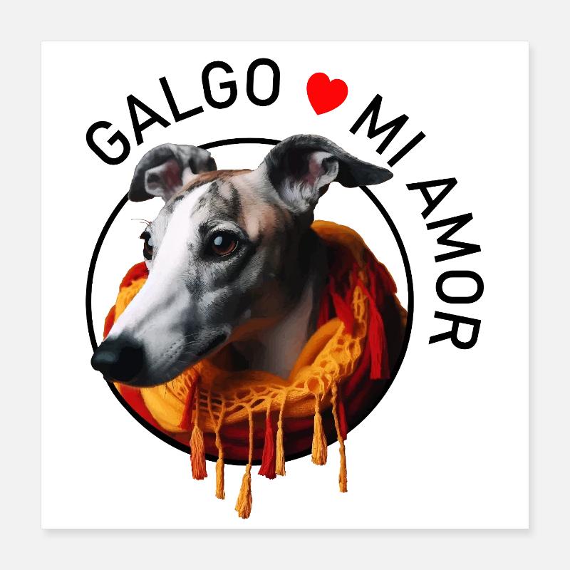 Galgo dans une écharpe chaude Poster 40 x 40 cm
