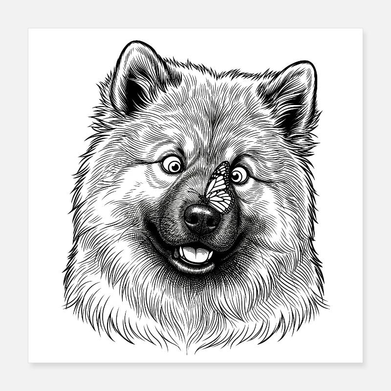 Eurasier | Papillon Poster 40 x 40 cm