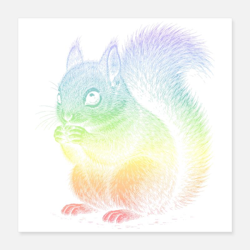 Eichhörnchen Poster 40x40 cm