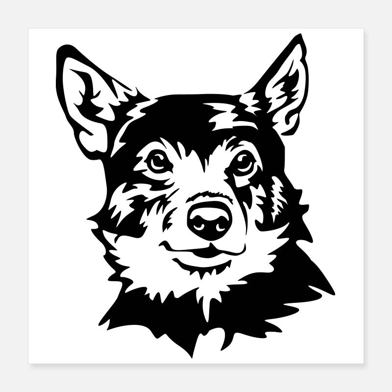 Schwedischer Wallhund Poster 40x40 cm