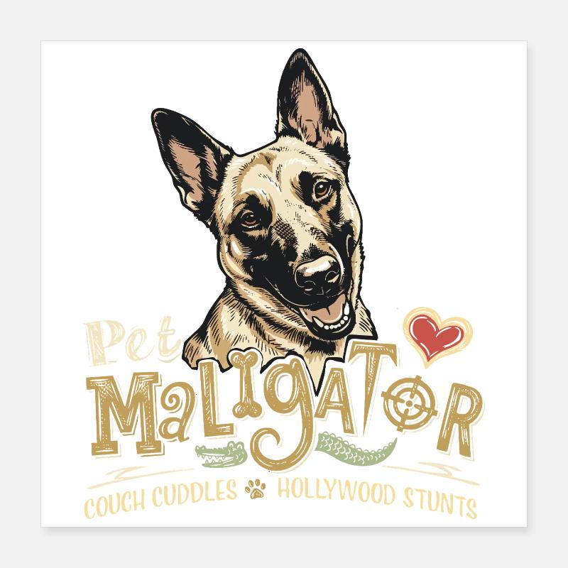 Pet Maligator Belgian Malinois Trick Dog Poster 16" x 16" (40x40 cm)