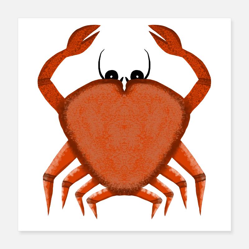 Krabbe Poster 40x40 cm