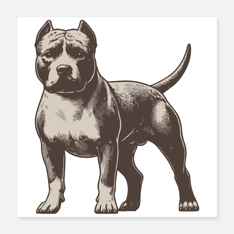 Pitbull terrier américain Poster 40 x 40 cm