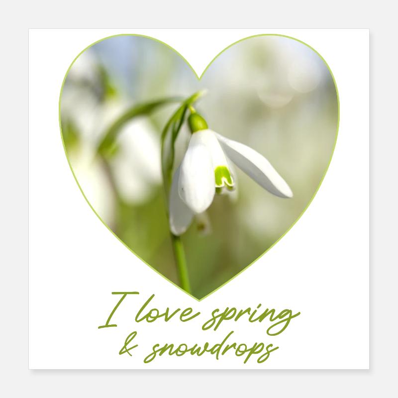 Herz mit Schneeglöckchen i love spring Poster 40x40 cm