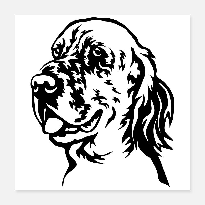 Chef de setter anglais Poster 40 x 40 cm