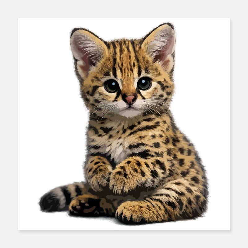 Serfal kittens Poster 16" x 16" (40x40 cm)