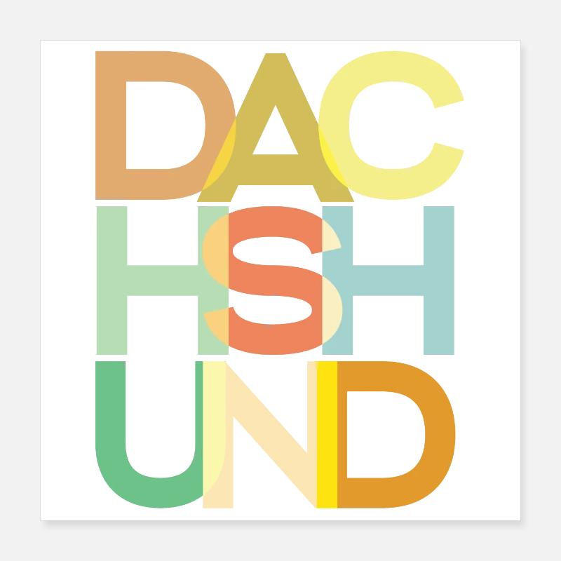 Teckel Chien Coloré Poster 40 x 40 cm