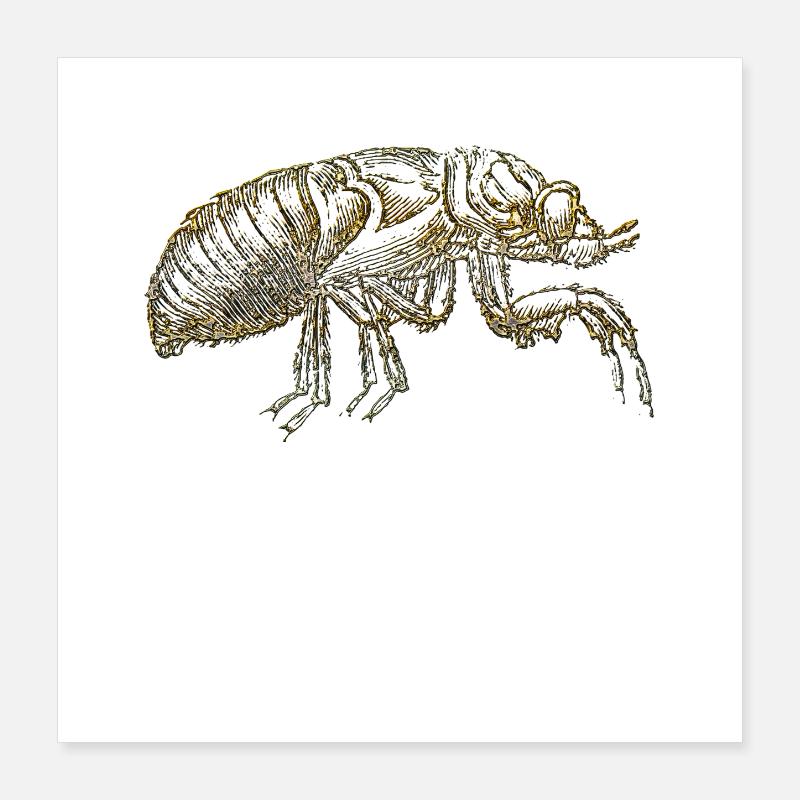 Der Floh Poster 40x40 cm