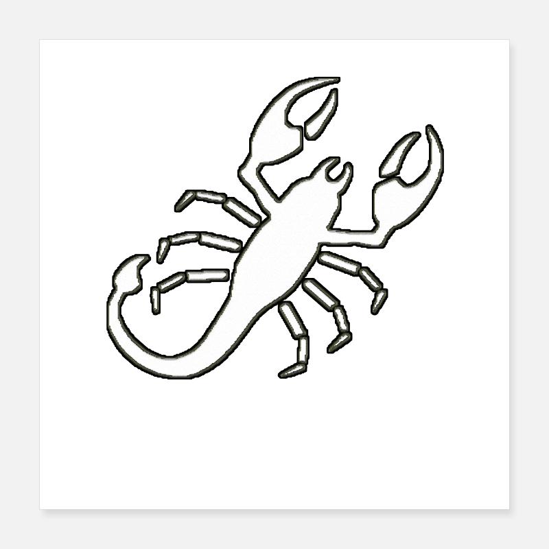 Scorpion Poster 40 x 40 cm