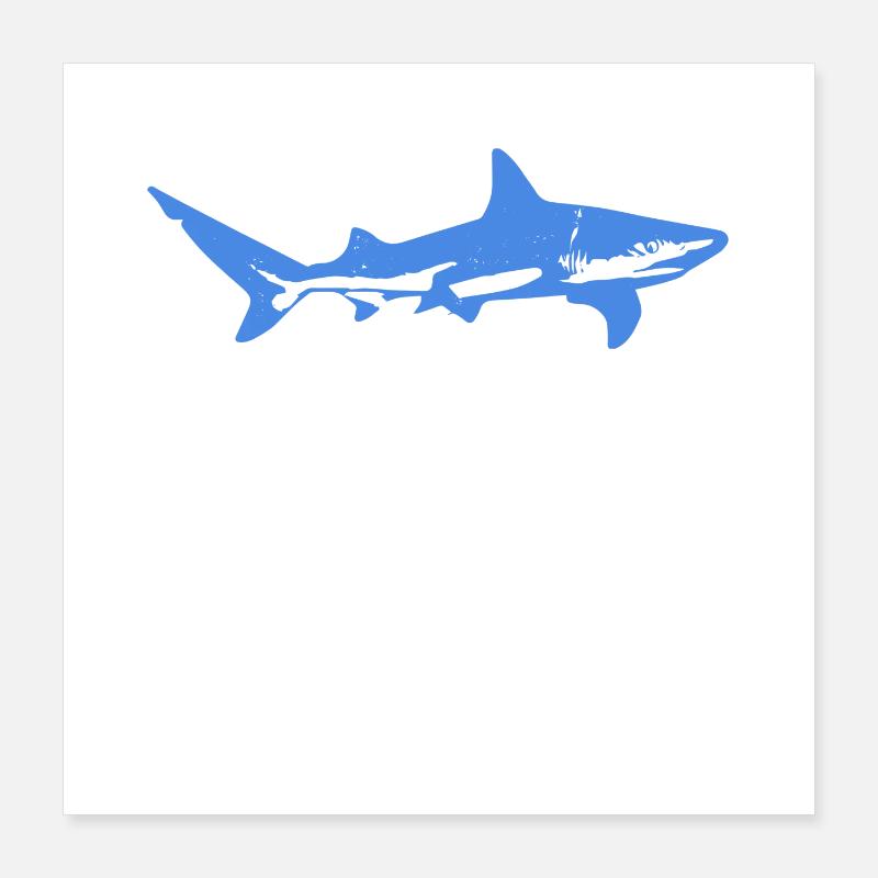Blue Shark Poster 40x40 cm