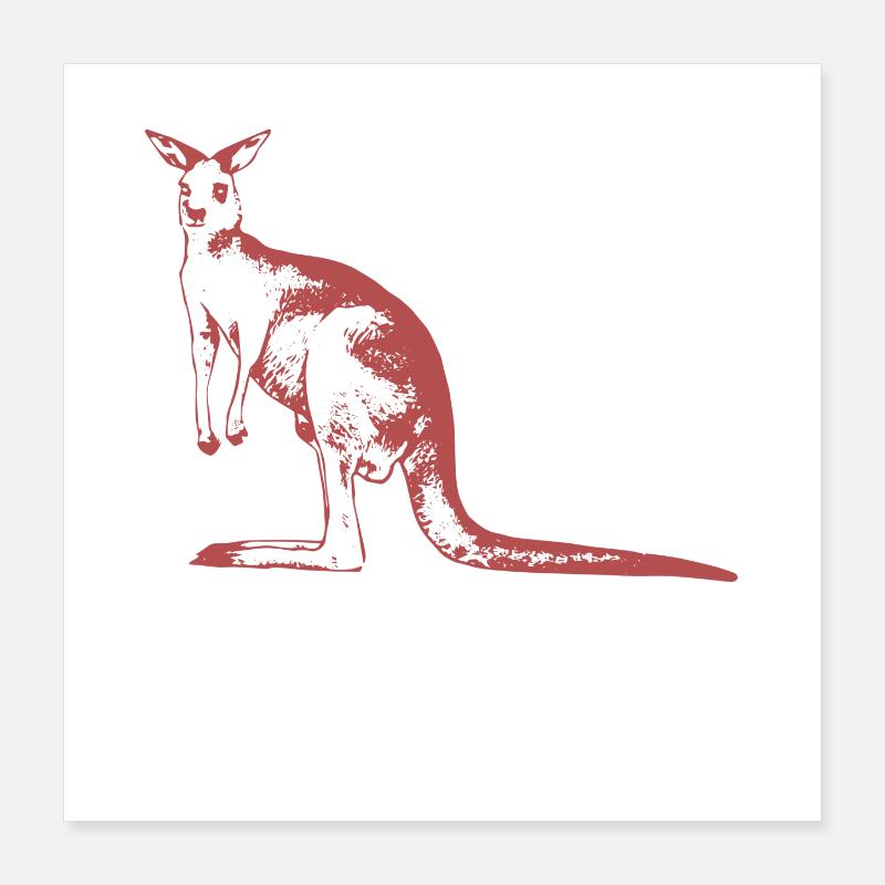 kangourou Poster 40 x 40 cm