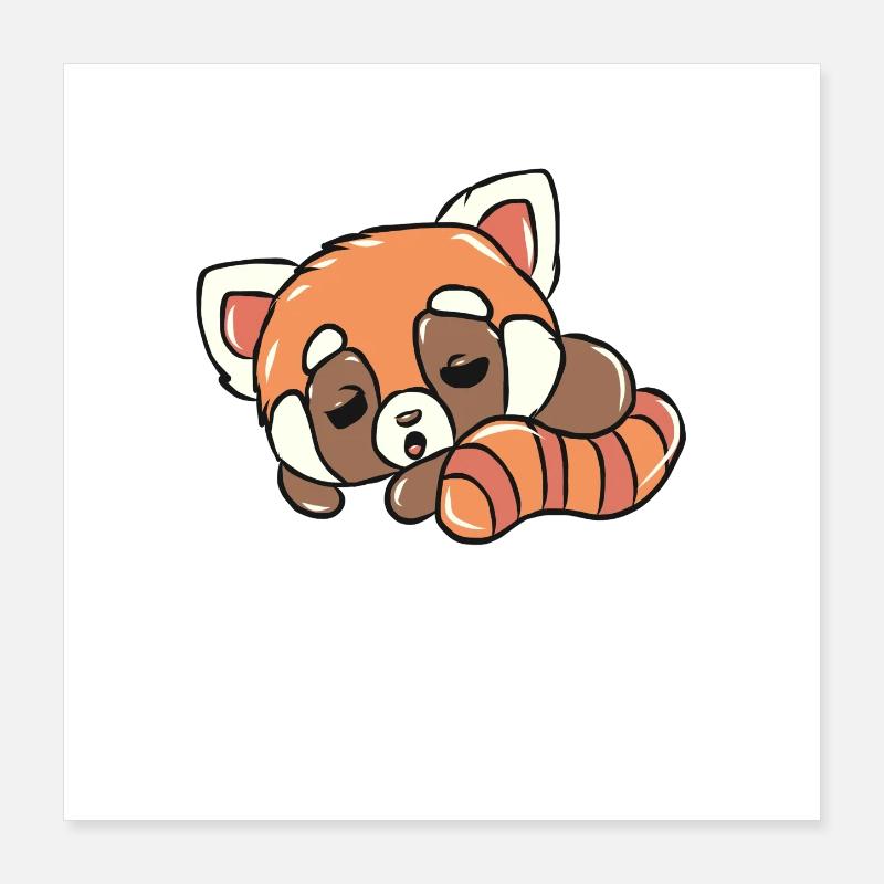 Roter Panda Poster 40x40 cm