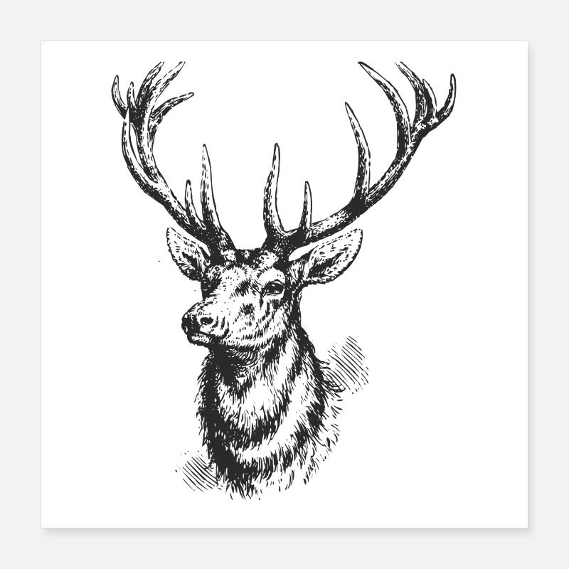 Hirsch - Conception Poster 40 x 40 cm