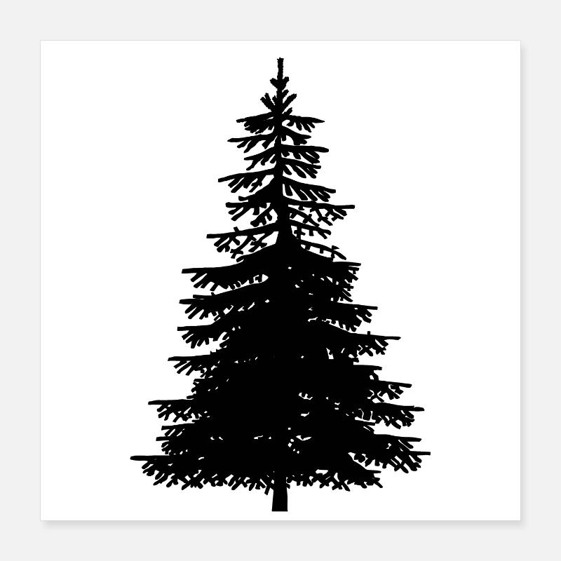 Fir Tree Nature Forest Ecology Nature Conservation Wilderness Poster 16" x 16" (40x40 cm)