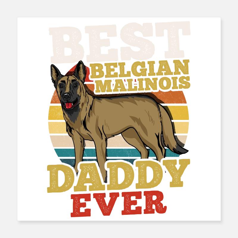 Malinois Poster 40x40 cm