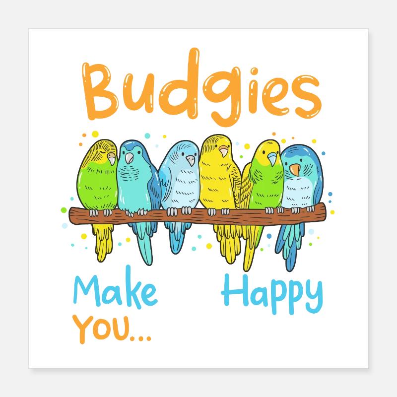 Perruches Perruches Oiseaux Poster 40 x 40 cm