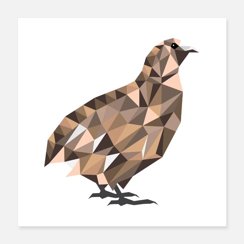 Polygone cailles cailles cailles cailles cadeau Poster 40 x 40 cm