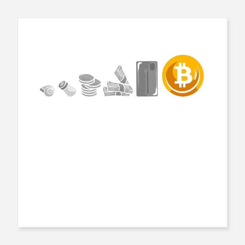 Evolution Of Money Geld Bitcoin Plan B Crypto Poster 40 x 40 cm