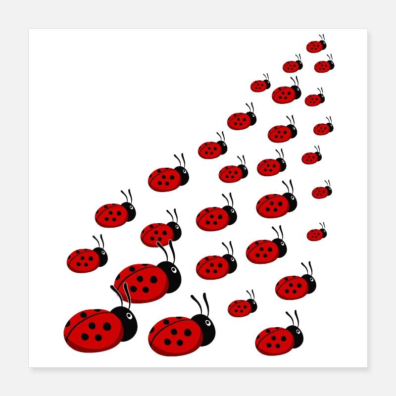 Coccinelle Poster 40 x 40 cm