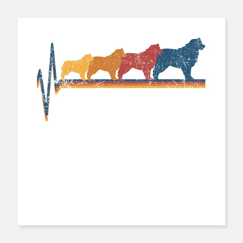 Australian Shepherd Poster 40x40 cm