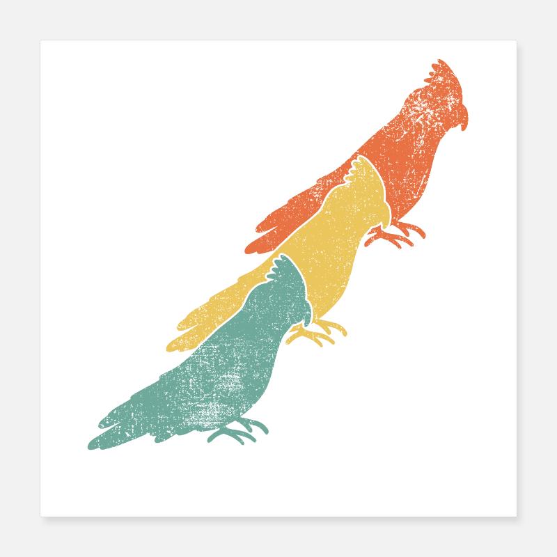 Nymphensittiche Vogel Poster 40x40 cm