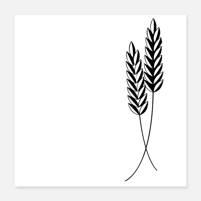 2 Ähren Poster 40x40 cm