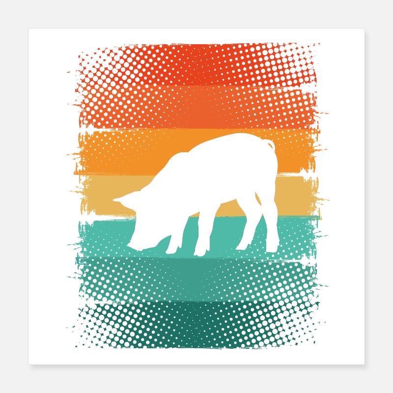 Cochon Poster 40 x 40 cm