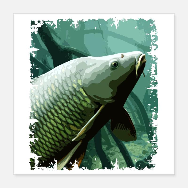 Underwater Carp Fishing Design Poster 16" x 16" (40x40 cm)