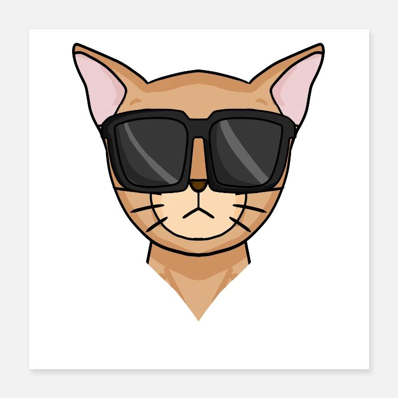 Chat abyssin avec lunettes de soleil Poster 40 x 40 cm