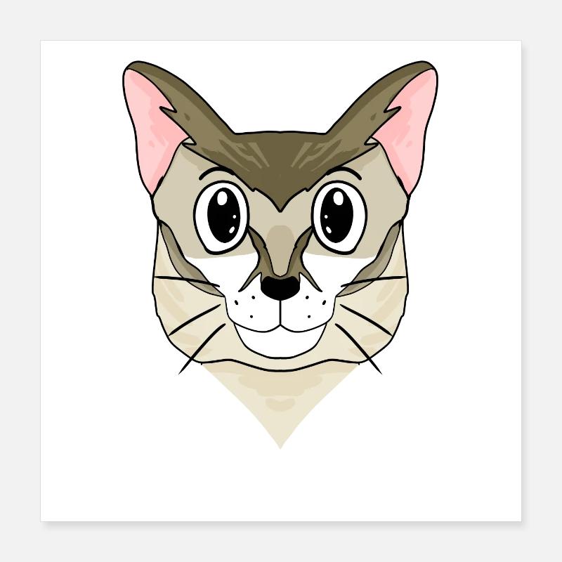 Singapura Katze Poster 40x40 cm