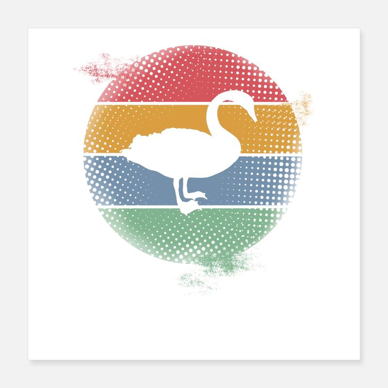 Cygne Poster 40 x 40 cm