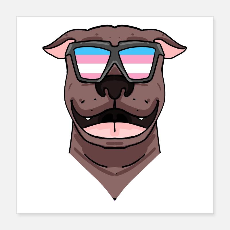 American Dog Poster 40 x 40 cm