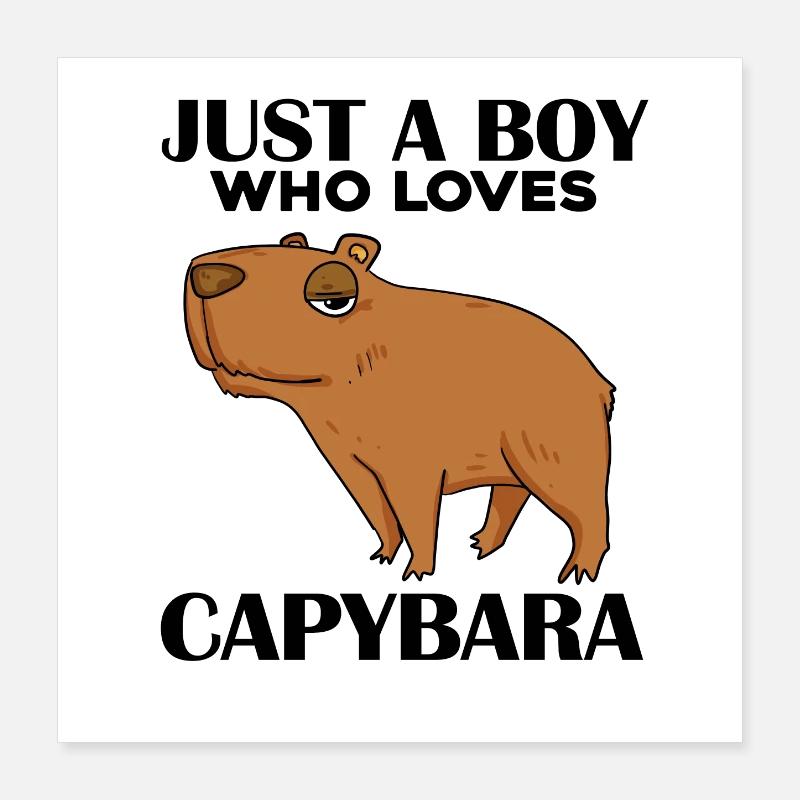 Capybara Garçon Poster 40 x 40 cm