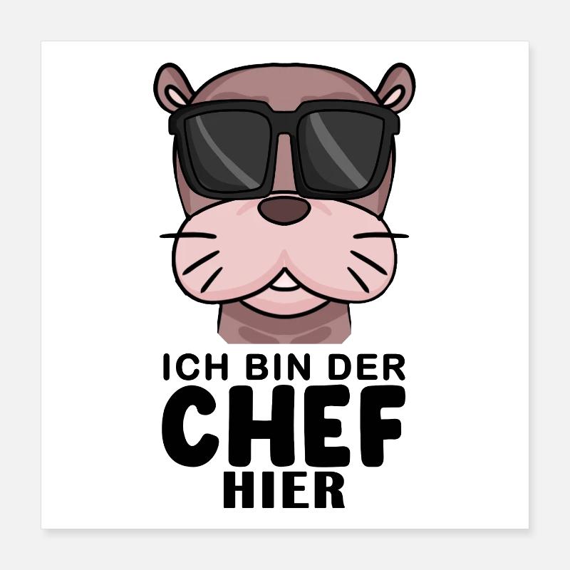 Cool Robbe Chef Spruch Poster 40x40 cm