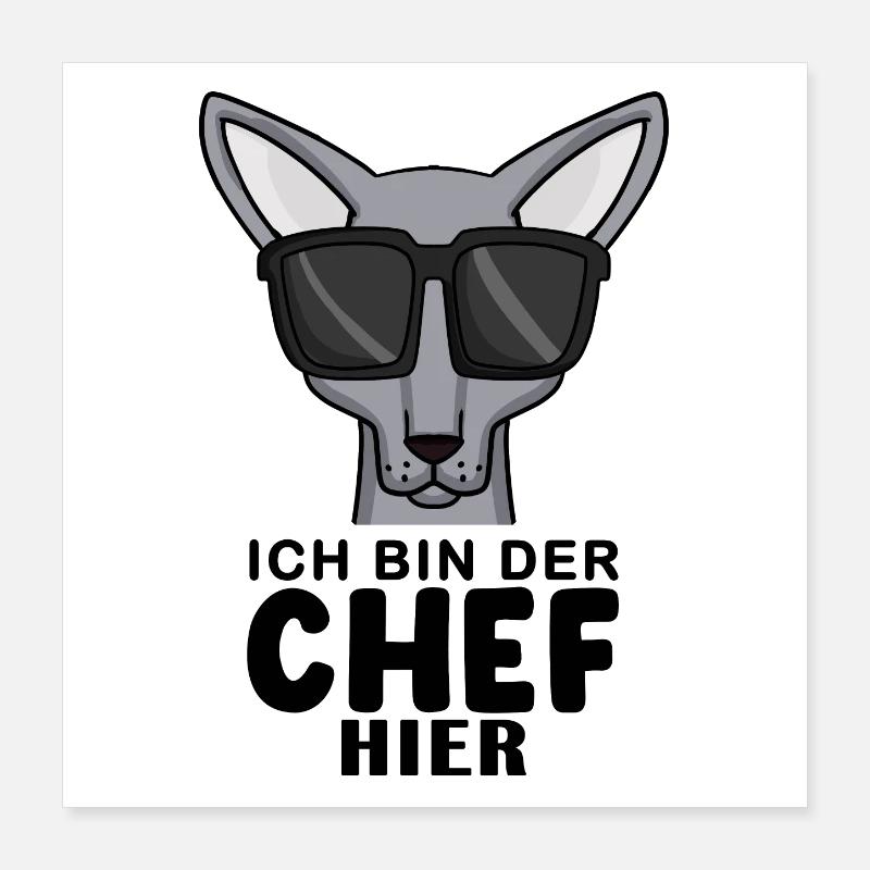 coole Katze - Sphynx Katze Spruch Poster 40x40 cm