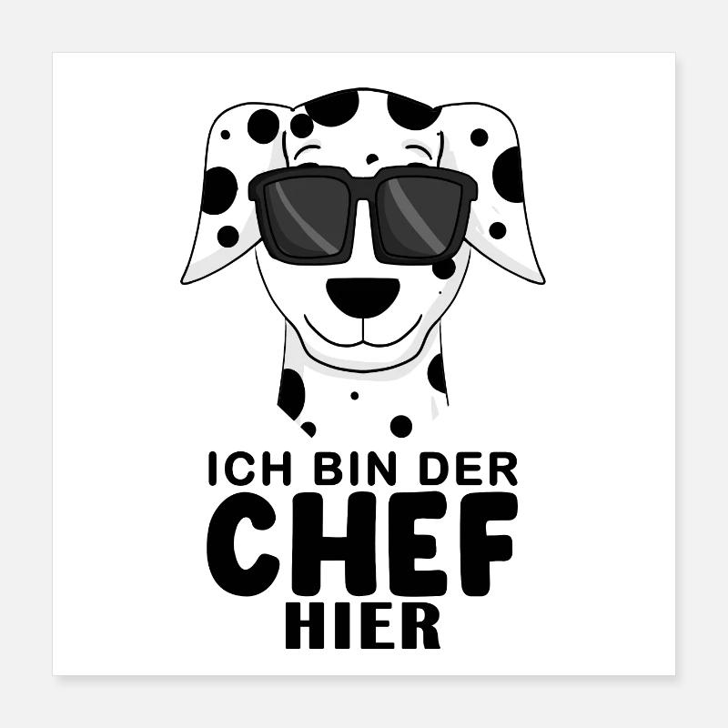Cooler Hund Dalmatiner Chef Spruch Poster 40x40 cm
