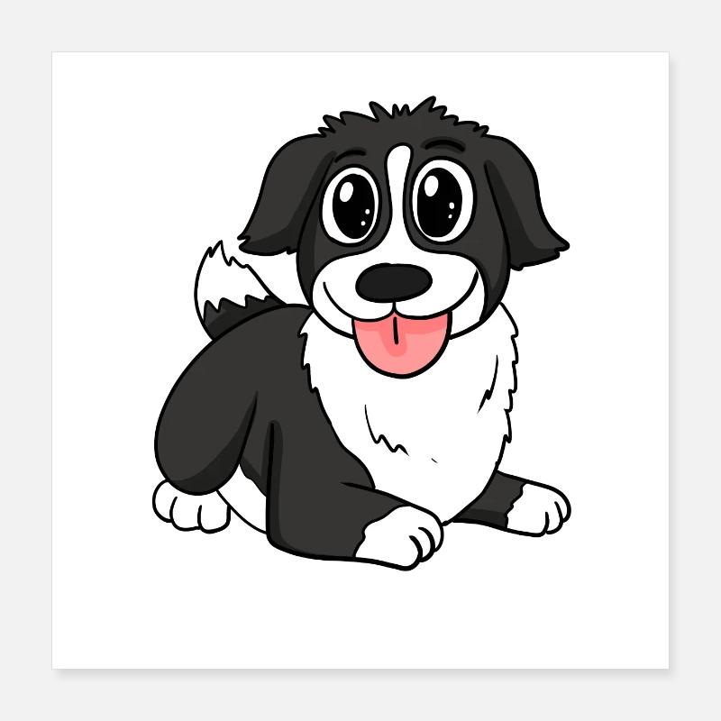 Border Collie Hunderasse Hund Hunde Poster 40x40 cm
