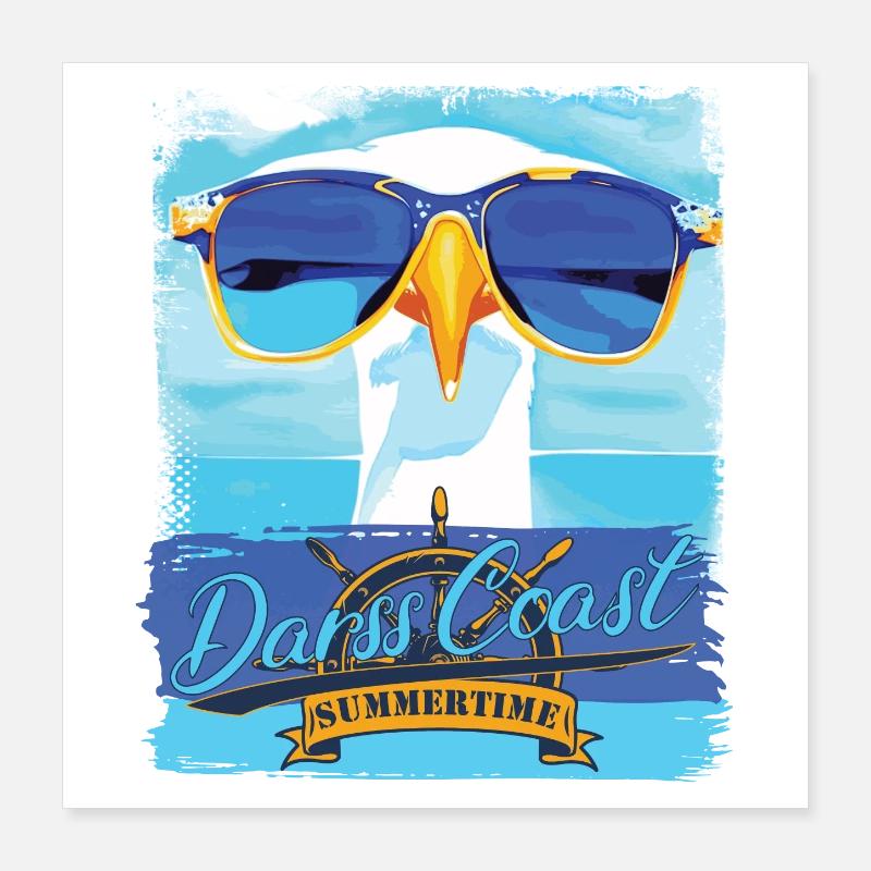 DarssCoast Möwe - blue white Möwen Collection Poster 40x40 cm