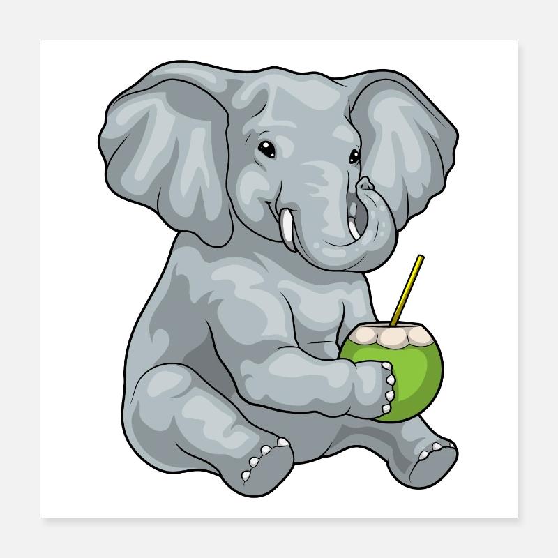 Elefant Kokosnuss Poster 40x40 cm