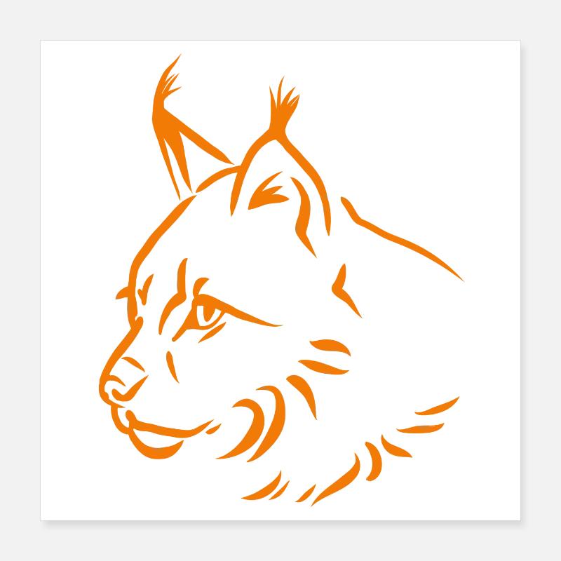 Lynx en orange Poster 40 x 40 cm