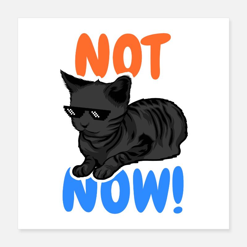 Drôle de chat Poster 40 x 40 cm
