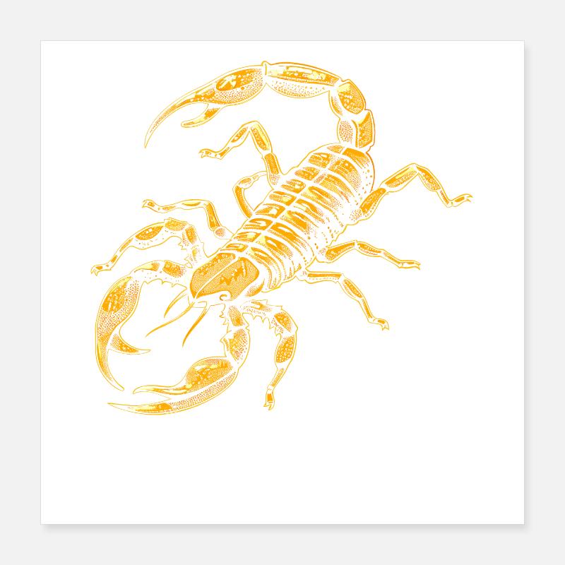 Scorpio Arachnids Scorpion Funny Scorpions Poster 16" x 16" (40x40 cm)