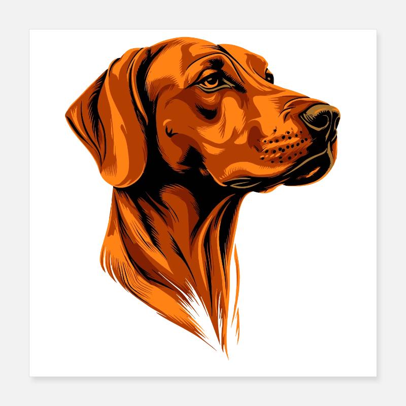 Rhodesian Ridgeback Jagdhund Hunde Stolz Ridgeback Poster 40x40 cm