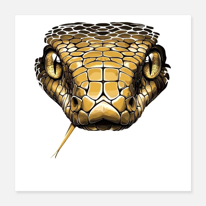 Snake Python Cobra Mamba Rattlesnake Snake Poster 16" x 16" (40x40 cm)
