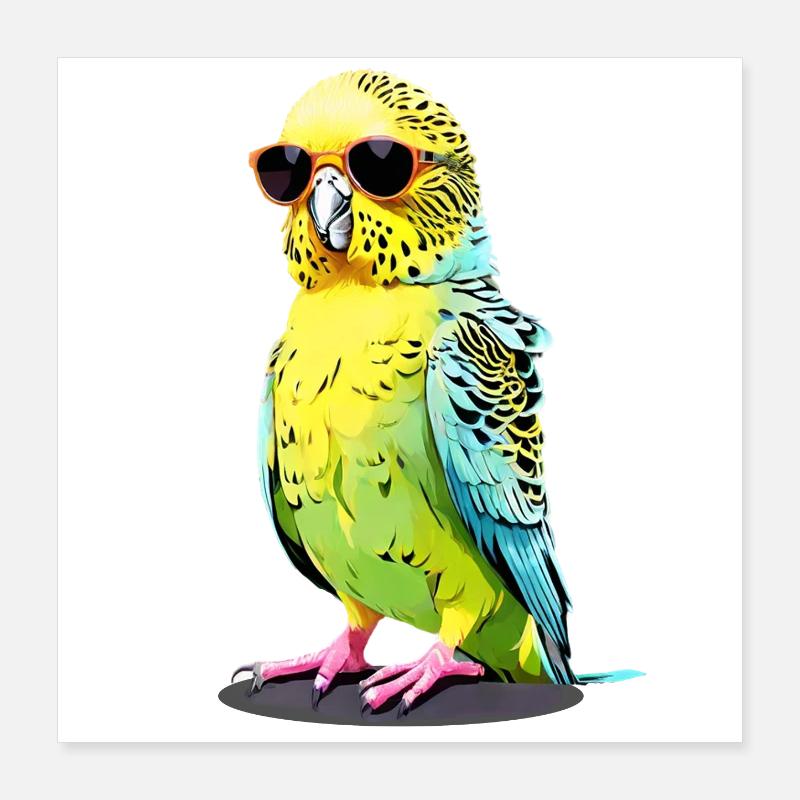 Cooler Wellensittich mit Sonnenbrille Poster 40x40 cm