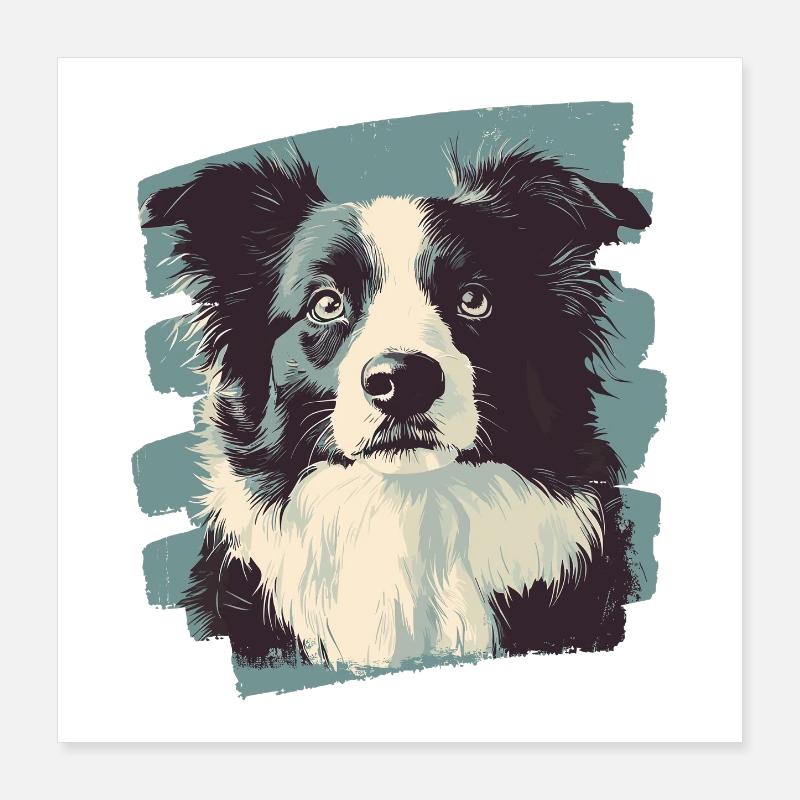 Border Collie Poster 40x40 cm