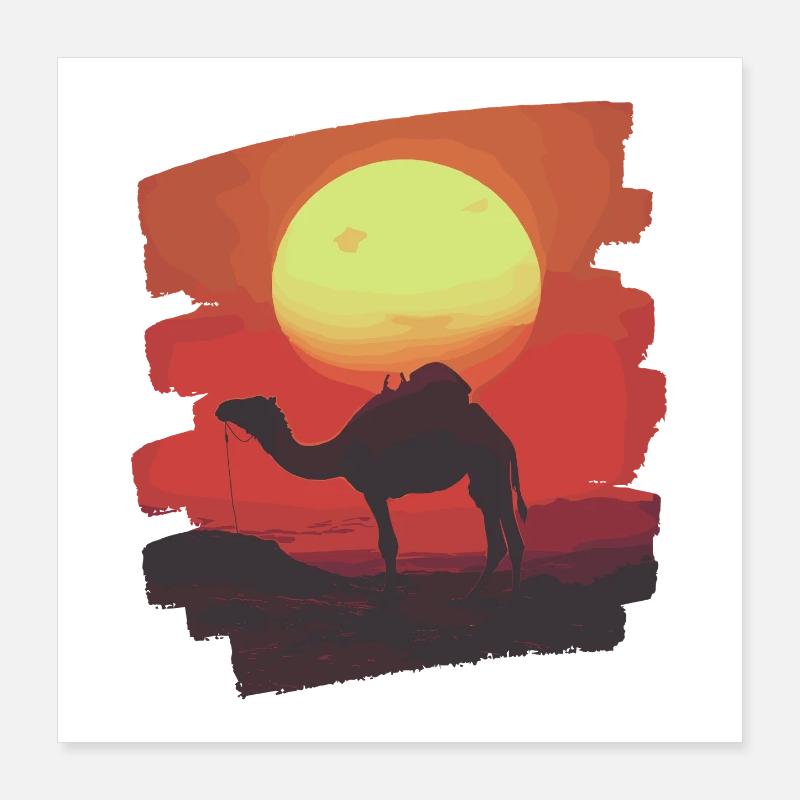 Kamel Poster 40x40 cm